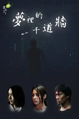 梦里的一千道墙封面图