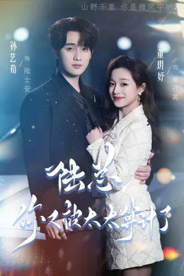 陆总，你又被太太算计了海报图片