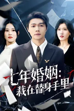 七年婚姻：栽在替身手里海报图片