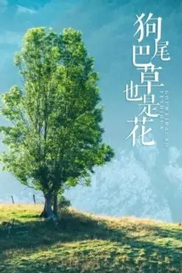 狗尾巴草也是花封面图