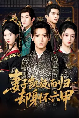 妻子凯旋而归，却身怀六甲封面图