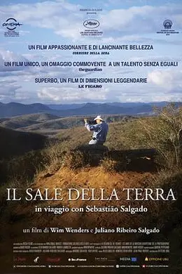 地球之盐封面图