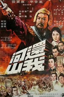 还我河山封面图