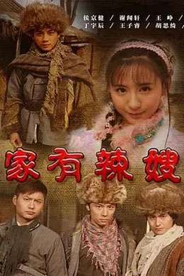 家有辣嫂封面图