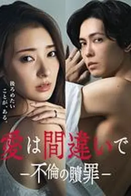 这份爱是错误吗～出轨的赎罪海报图片