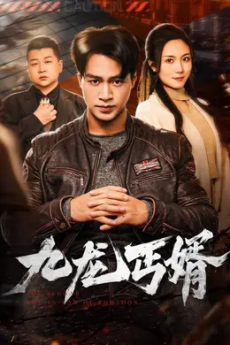 九龙丐婿海报图片