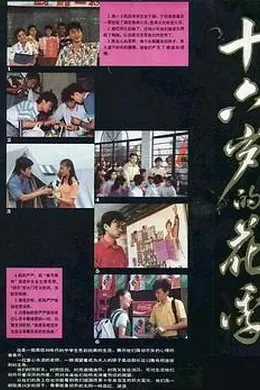 十六岁的花季封面图