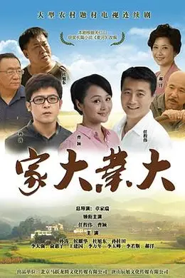 家大业大封面图