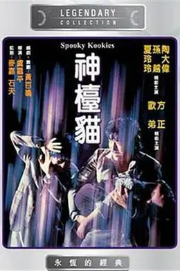 神台猫粤语封面图