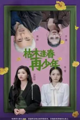 枯木逢春再少年海报图片