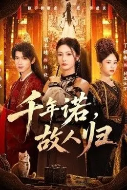 千年诺，故人归封面图
