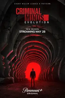 犯罪心理：演变 第十九季 Criminal Minds： Evolution Season 19海报图片