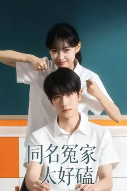 同名冤家太好磕海报图片