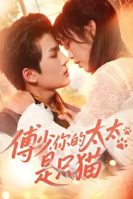 傅少，你的太太是只猫封面图