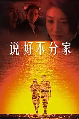 说好不分家封面图