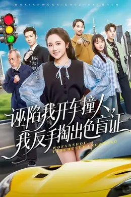 诬陷我开车撞人，我反手掏出色盲海报图片