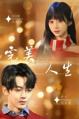 完美人生（2026）海报图片