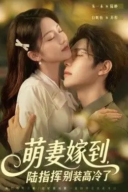 萌妻嫁到，陆指挥别装高冷了封面图