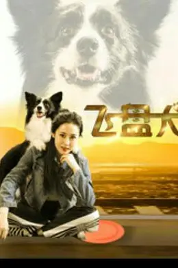 飞盘犬 (2020)封面图