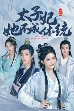 太子妃她不成体统 （李木扬 邹漪琳）封面图