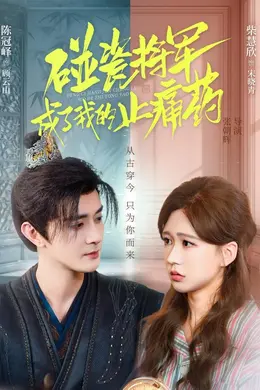 碰瓷将军成了我的止痛药封面图