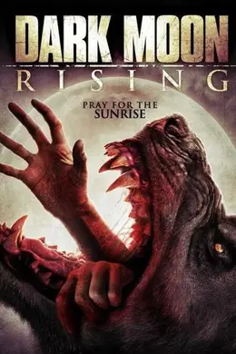 暗月升起封面图