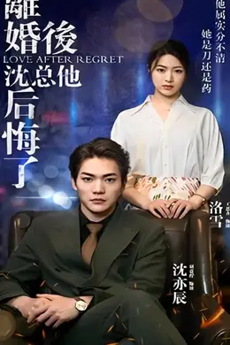 离婚后，沈总他后悔了海报图片