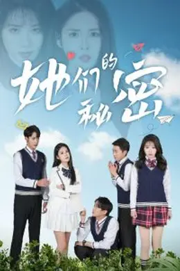 她们的秘密海报图片