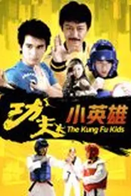 功夫小英雄封面图