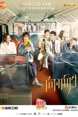 向阳而生封面图