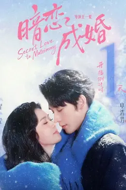 暗恋成婚封面图