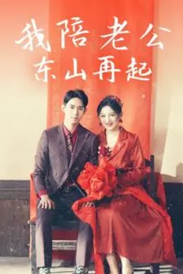 我陪老公东山再起海报图片