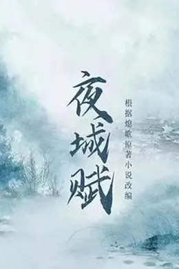夜城赋封面图