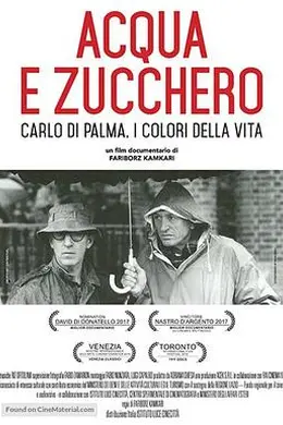 水与糖：摄影家卡洛迪帕尔马的生活与色彩封面图