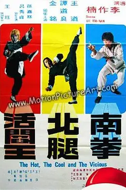 南拳北腿活阎王封面图