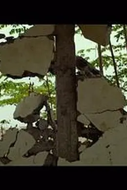 最漫长的夜晚封面图