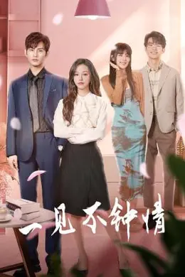 一见不钟情2024封面图