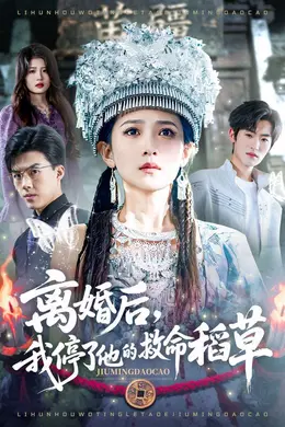 离婚后，我停了他的救命稻草海报图片