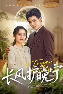 长风护晚宁封面图