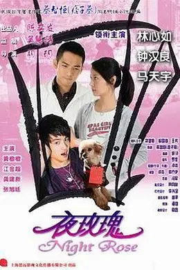 夜玫瑰封面图