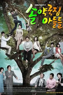 松药店的儿子们国语封面图