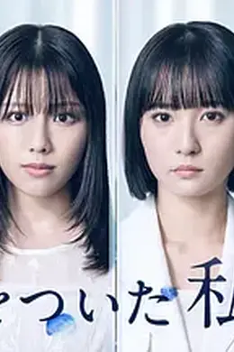 说谎的我们封面图