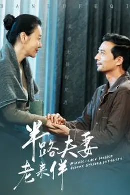 半路夫妻老来伴海报图片