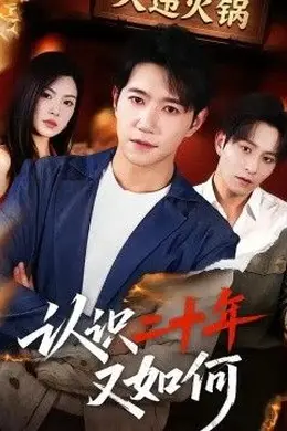 认识二十年又如何封面图