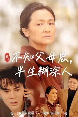 不知父母恩，半生糊涂人海报图片
