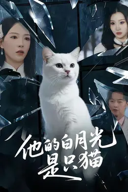 他的白月光是只猫封面图