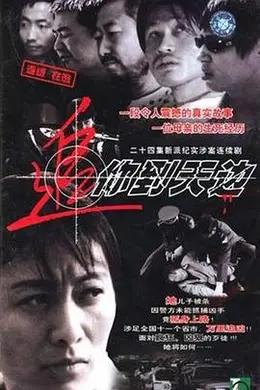 追你到天边封面图