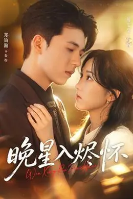 晚星入烬怀封面图