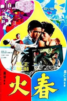 春火封面图