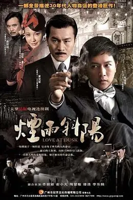 烟雨斜阳封面图